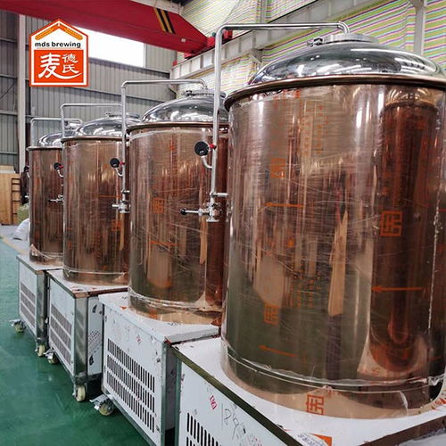 宁津酒店啤酒设备1000L精酿啤酒设备生产厂家麦德氏