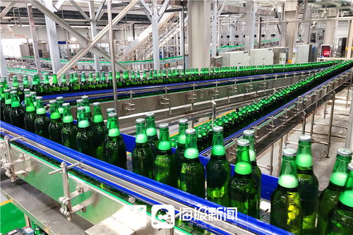 快讯丨德州平原青岛啤酒年产20万千升项目试生产出酒